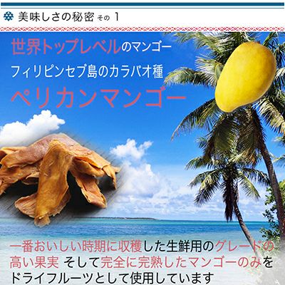 無添加ドライマンゴー・フィリピン産のお得用大袋通販|ドライフルーツ