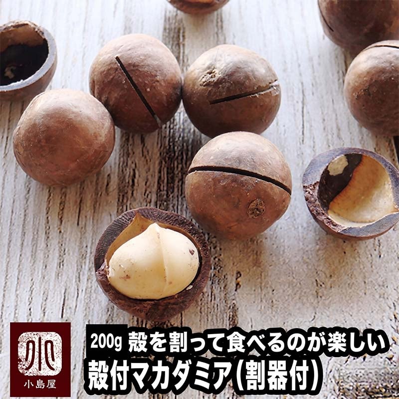 殻付ローストマカダミアナッツ（殻割り器付き） 《200g》