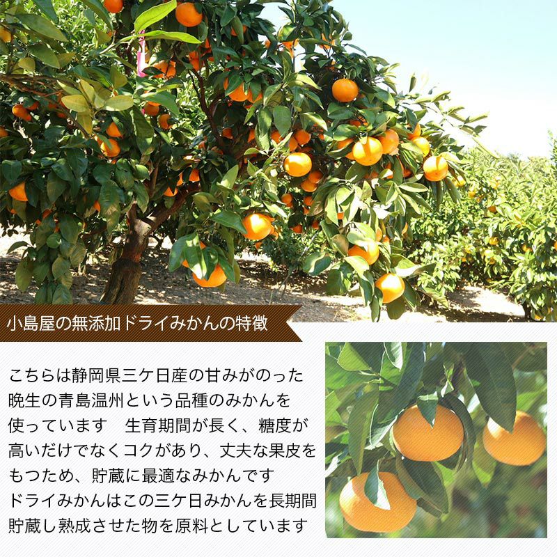 ★みかん★コタイサドラゴン 無添加国産ドライみかんのお試し通販|ドライフルーツの専門店小島屋