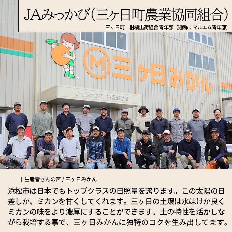 無添加国産ドライみかんのお試し通販|ドライフルーツの専門店小島屋