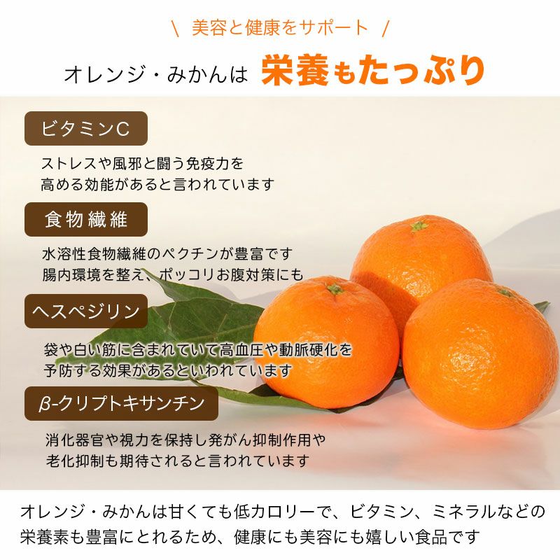 無添加国産ドライみかんお得用大袋の通販|ドライフルーツの専門店小島屋