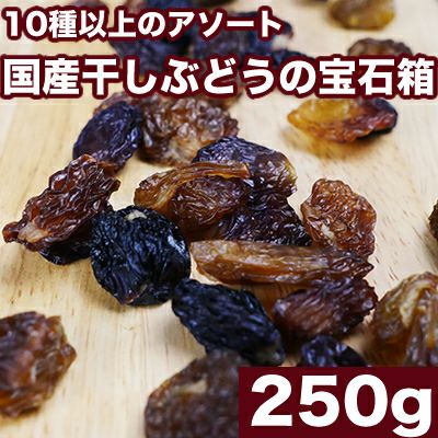無添加 国産干しぶどうの宝石箱《250g》