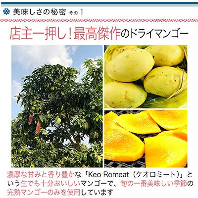 ノンシュガー、完全無添加のドライマンゴー（カンボジア産）の通販お