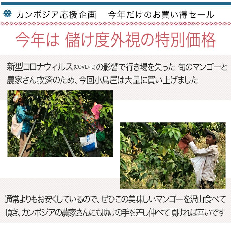 無添加　店主が一番美味いと思う至極のカンボジア産ドライマンゴー《3000g》