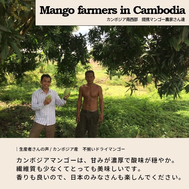 超微糖：店主が現地で即決したカンボジア産不揃いドライマンゴー《500g