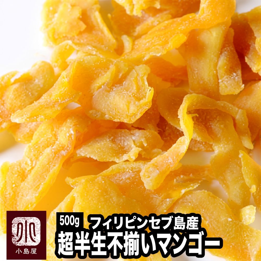 不揃い超半生ドライマンゴー［フィリピン・セブ島産］《500g》